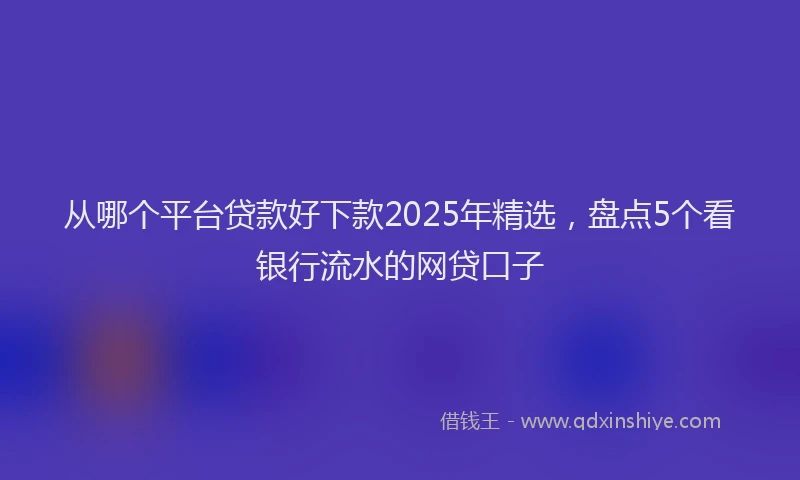 从哪个平台贷款好下款2025年精选,盘点5个看银行流水的网贷口子