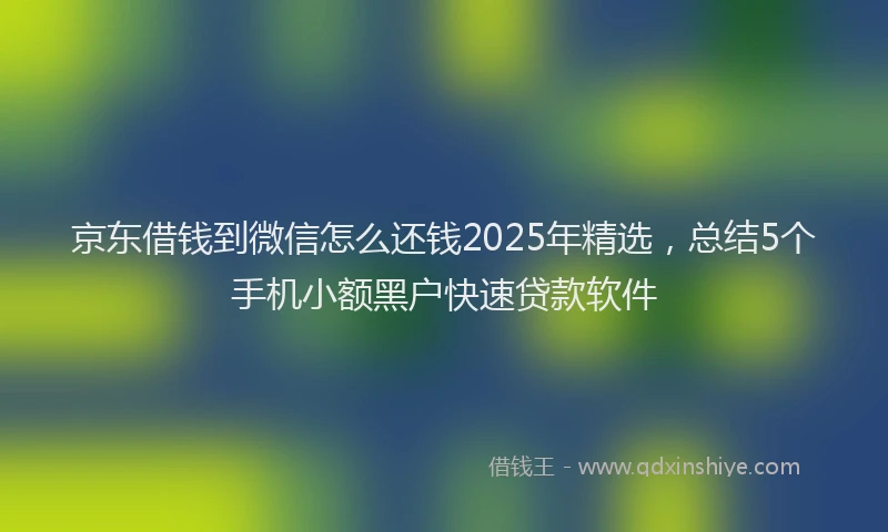 京东借钱到微信怎么还钱2025年精选，总结5个手机小额黑户快速贷款软件