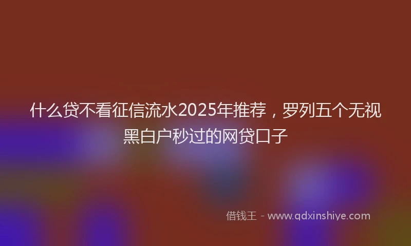 什么贷不看征信流水2025年推荐，罗列五个无视黑白户秒过的网贷口子