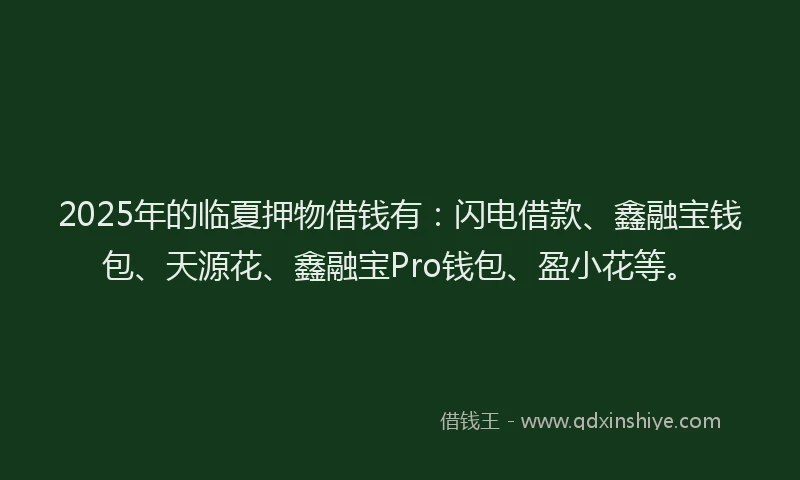 2025年的临夏押物借钱有：闪电借款、鑫融宝钱包、天源花、鑫融宝Pro钱包、盈小花等。