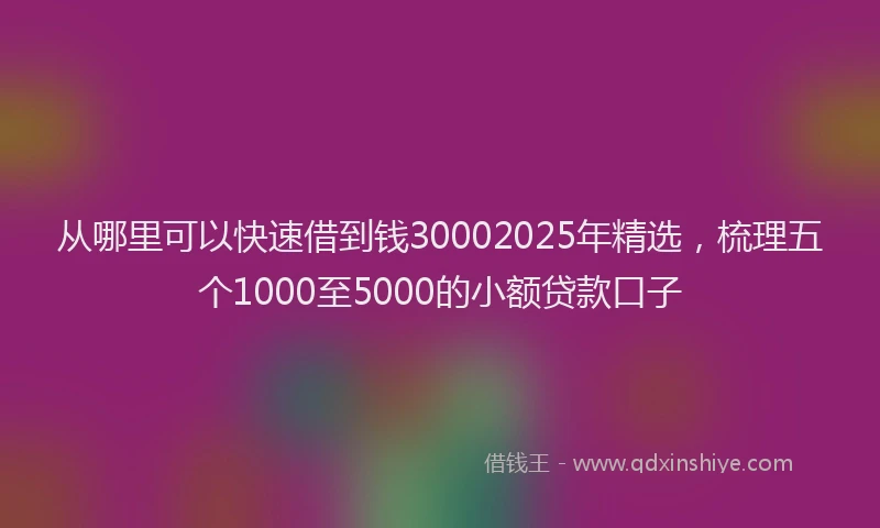 从哪里可以快速借到钱30002025年精选，梳理五个1000至5000的小额贷款口子