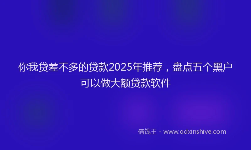 你我贷差不多的贷款2025年推荐，盘点五个黑户可以做大额贷款软件