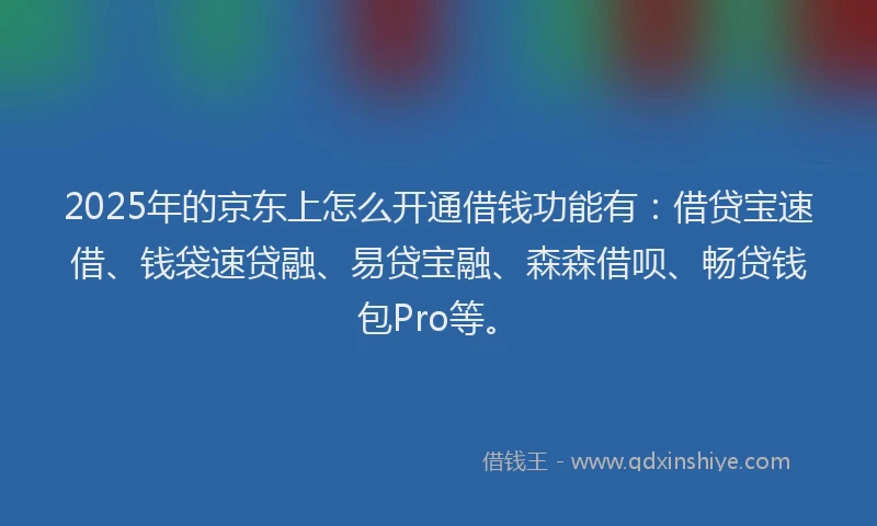2025年的京东上怎么开通借钱功能有：借贷宝速借、钱袋速贷融、易贷宝融、森森借呗、畅贷钱包Pro等。