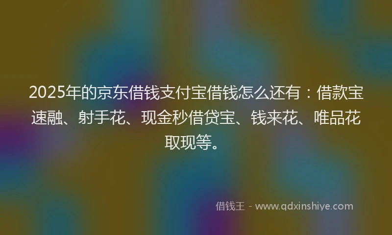 2025年的京东借钱支付宝借钱怎么还有：借款宝速融、射手花、现金秒借贷宝、钱来花、唯品花取现等。