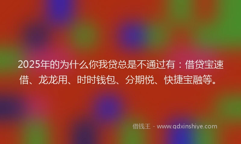 2025年的为什么你我贷总是不通过有：借贷宝速借、龙龙用、时时钱包、分期悦、快捷宝融等。