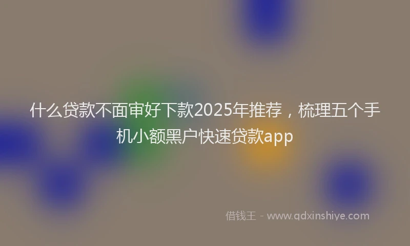 什么贷款不面审好下款2025年推荐，梳理五个手机小额黑户快速贷款app