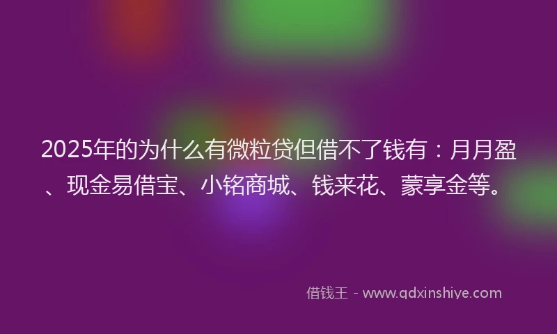 2025年的为什么有微粒贷但借不了钱有：月月盈、现金易借宝、小铭商城、钱来花、蒙享金等。