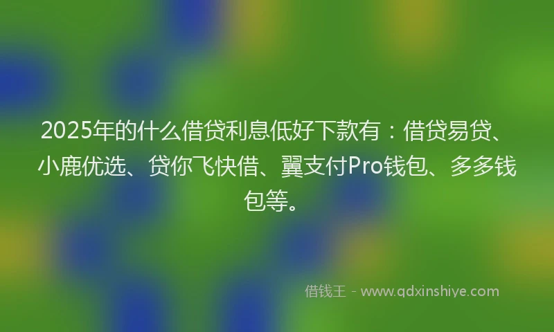 2025年的什么借贷利息低好下款有：借贷易贷、小鹿优选、贷你飞快借、翼支付Pro钱包、多多钱包等。