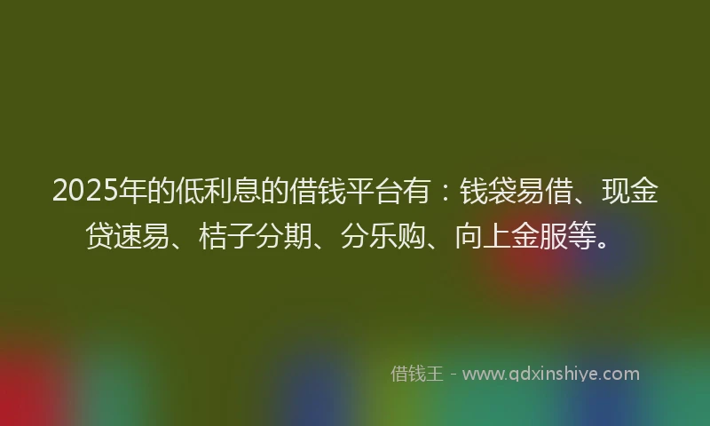 2025年的低利息的借钱平台有：钱袋易借、现金贷速易、桔子分期、分乐购、向上金服等。