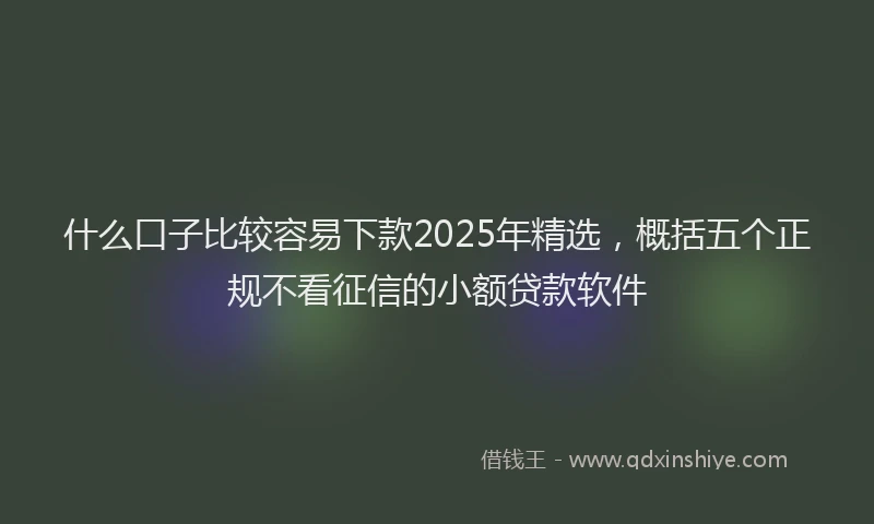 什么口子比较容易下款2025年精选,概括五个正规不看征信的小额贷款软件