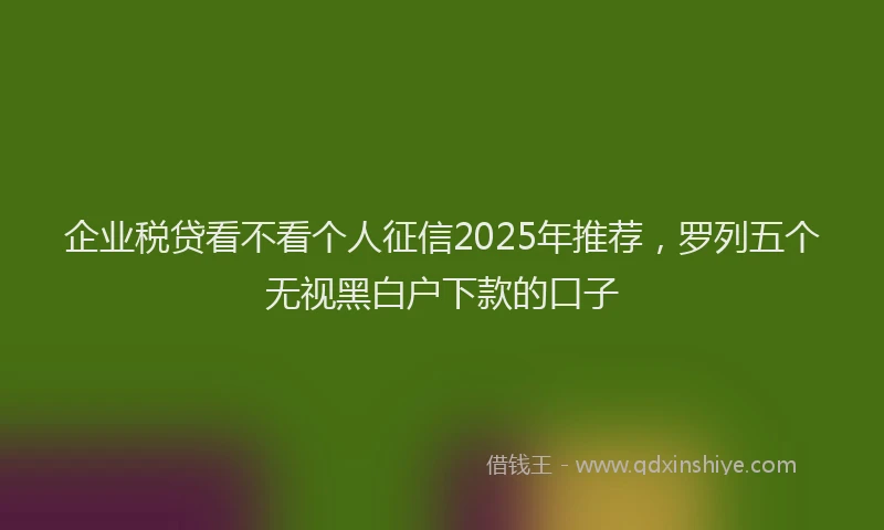 企业税贷看不看个人征信2025年推荐，罗列五个无视黑白户下款的口子