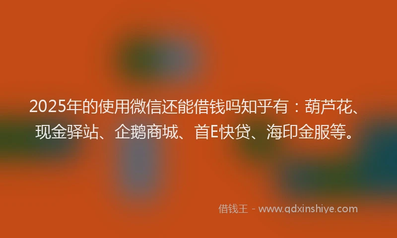 2025年的使用微信还能借钱吗知乎有：葫芦花、现金驿站、企鹅商城、首E快贷、海印金服等。
