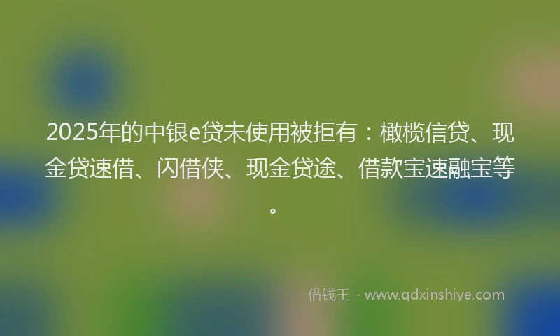 2025年的中银e贷未使用被拒有：橄榄信贷、现金贷速借、闪借侠、现金贷途、借款宝速融宝等。