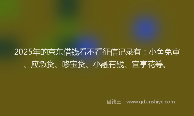 2025年的京东借钱看不看征信记录有：小鱼免审、应急贷、哆宝贷、小融有钱、宜享花等。