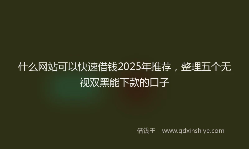 什么网站可以快速借钱2025年推荐，整理五个无视双黑能下款的口子
