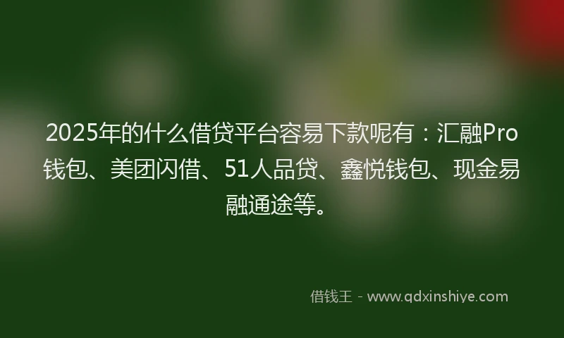 2025年的什么借贷平台容易下款呢有:汇融Pro钱包、美团闪借、51人品贷、鑫悦钱包、现金易融通途等。
