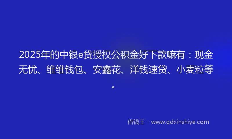 2025年的中银e贷授权公积金好下款嘛有：现金无忧、维维钱包、安鑫花、洋钱速贷、小麦粒等。