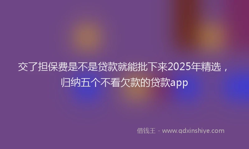 交了担保费是不是贷款就能批下来2025年精选，归纳五个不看欠款的贷款app