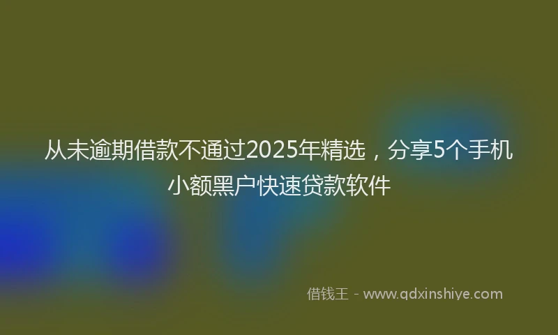 从未逾期借款不通过2025年精选，分享5个手机小额黑户快速贷款软件