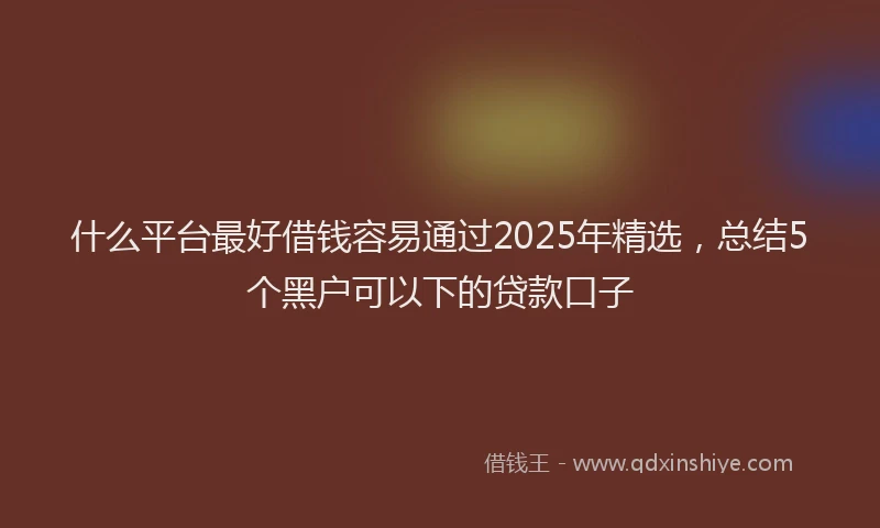 什么平台最好借钱容易通过2025年精选，总结5个黑户可以下的贷款口子