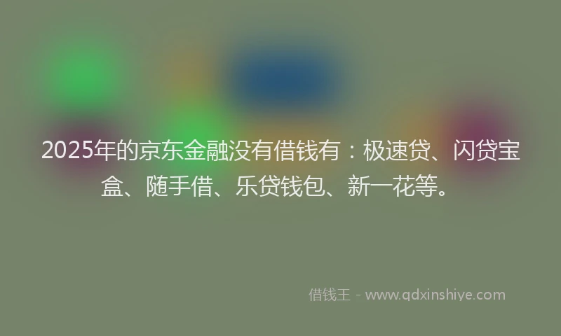 2025年的京东金融没有借钱有：极速贷、闪贷宝盒、随手借、乐贷钱包、新一花等。