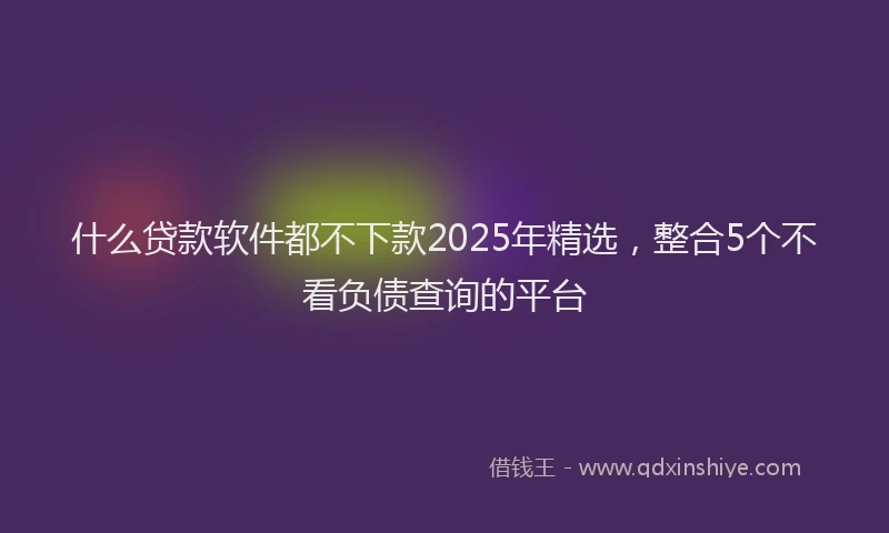 什么贷款软件都不下款2025年精选，整合5个不看负债查询的平台