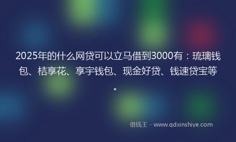 2025年的什么网贷可以立马借到3000有：琉璃钱包、桔享花、享宇钱包、现金好贷、钱速贷宝等。