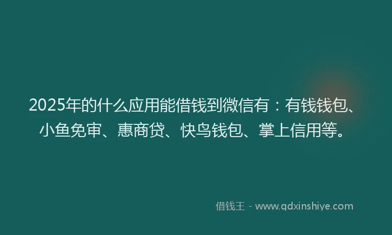 2025年的什么应用能借钱到微信有：有钱钱包、小鱼免审、惠商贷、快鸟钱包、掌上信用等。