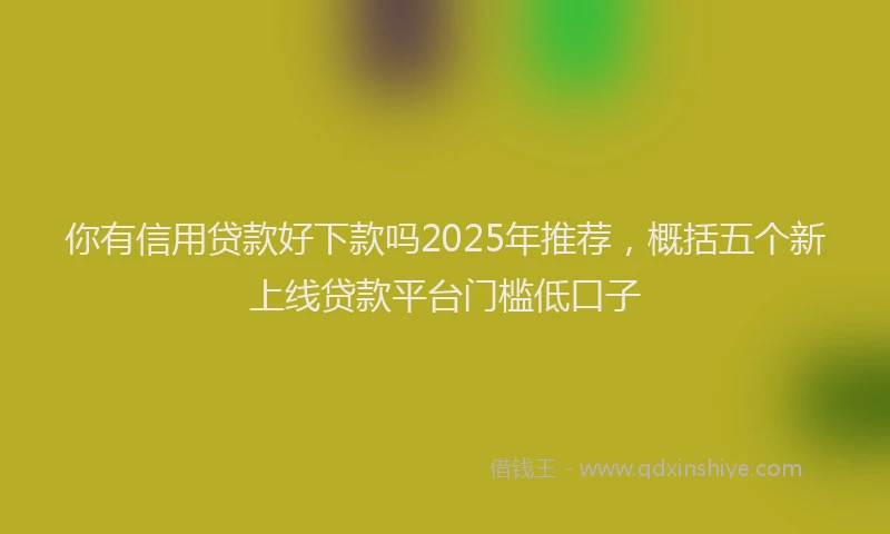 你有信用贷款好下款吗2025年推荐，概括五个新上线贷款平台门槛低口子
