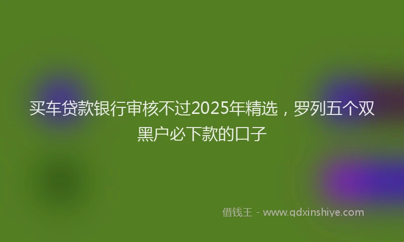买车贷款银行审核不过2025年精选,罗列五个双黑户必下款的口子