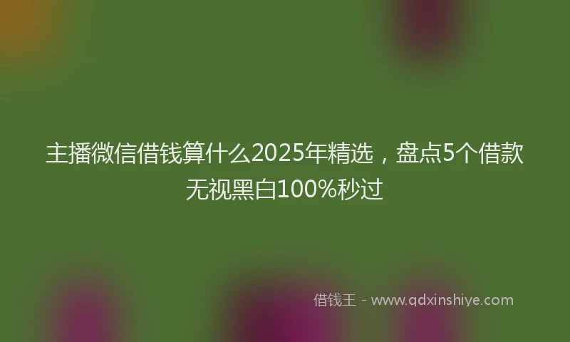 主播微信借钱算什么2025年精选，盘点5个借款无视黑白100%秒过
