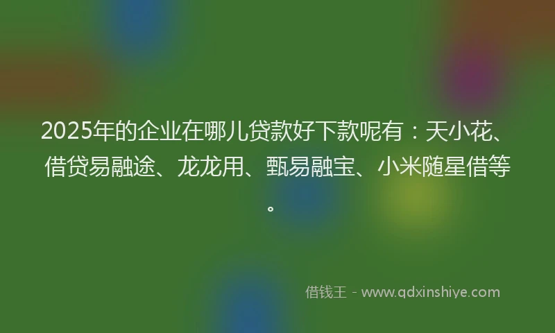 2025年的企业在哪儿贷款好下款呢有：天小花、借贷易融途、龙龙用、甄易融宝、小米随星借等。
