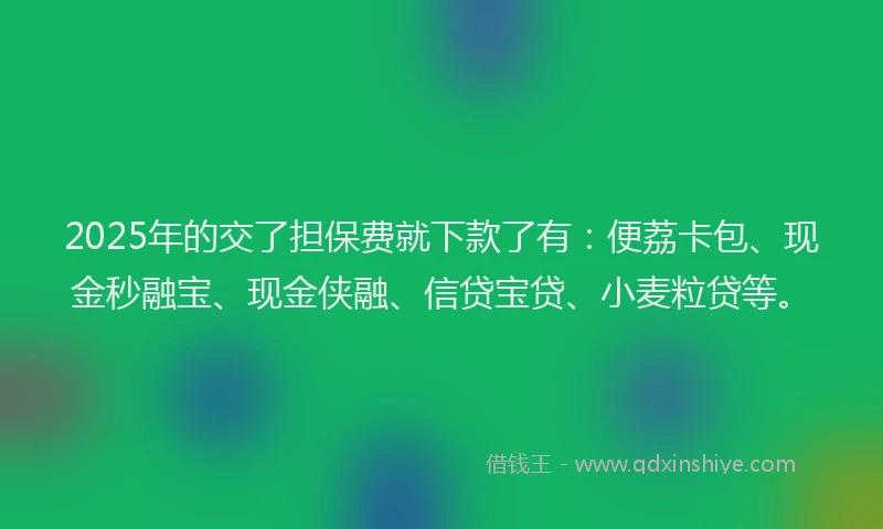 2025年的交了担保费就下款了有：便荔卡包、现金秒融宝、现金侠融、信贷宝贷、小麦粒贷等。