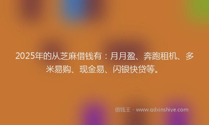 2025年的从芝麻借钱有：月月盈、奔跑租机、多米易购、现金易、闪银快贷等。