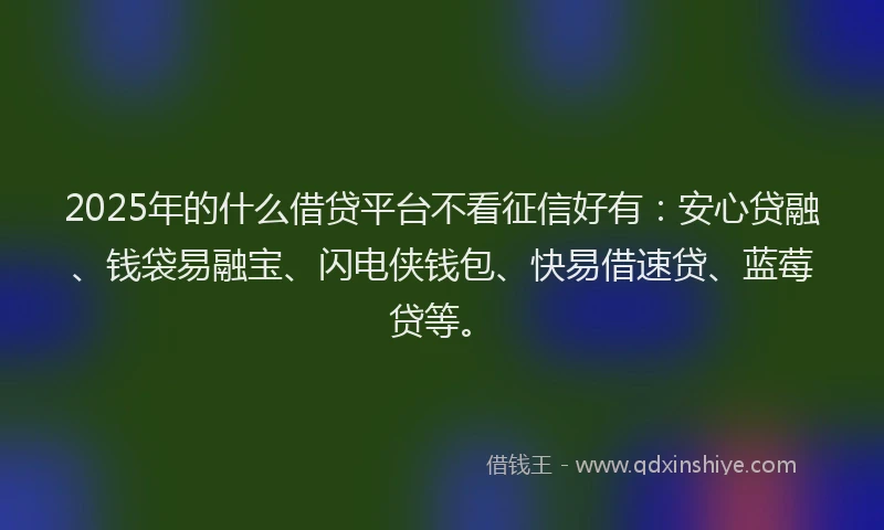 2025年的什么借贷平台不看征信好有：安心贷融、钱袋易融宝、闪电侠钱包、快易借速贷、蓝莓贷等。