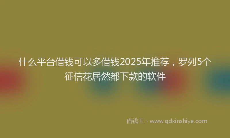 什么平台借钱可以多借钱2025年推荐，罗列5个征信花居然都下款的软件
