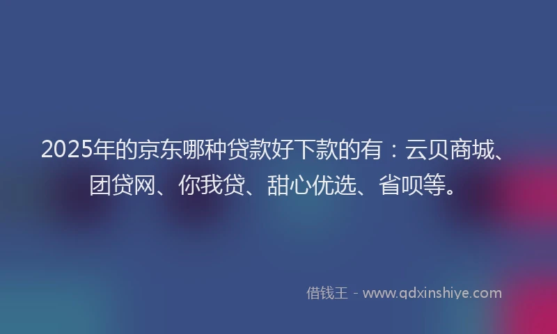 2025年的京东哪种贷款好下款的有：云贝商城、团贷网、你我贷、甜心优选、省呗等。