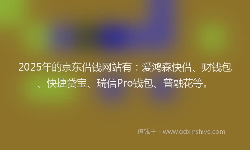 2025年的京东借钱网站有：爱鸿森快借、财钱包、快捷贷宝、瑞信Pro钱包、普融花等。