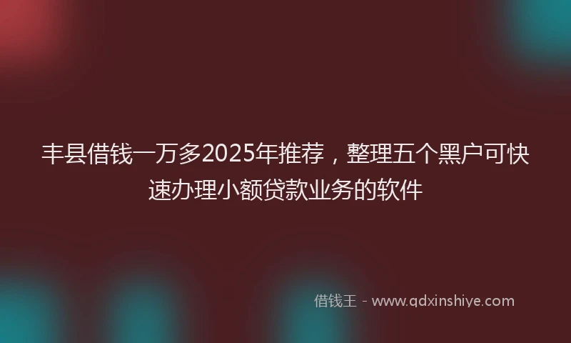 丰县借钱一万多2025年推荐，整理五个黑户可快速办理小额贷款业务的软件