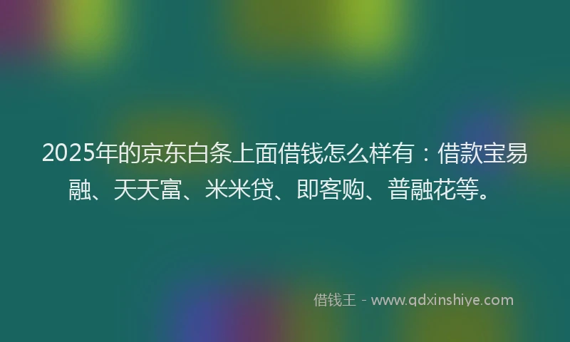 2025年的京东白条上面借钱怎么样有：借款宝易融、天天富、米米贷、即客购、普融花等。