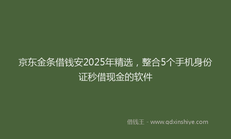 京东金条借钱安2025年精选，整合5个手机身份证秒借现金的软件