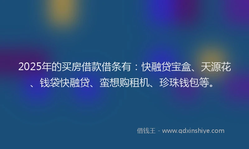 2025年的买房借款借条有：快融贷宝盒、天源花、钱袋快融贷、蛮想购租机、珍珠钱包等。