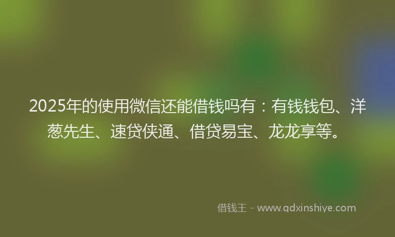 2025年的使用微信还能借钱吗有：有钱钱包、洋葱先生、速贷侠通、借贷易宝、龙龙享等。