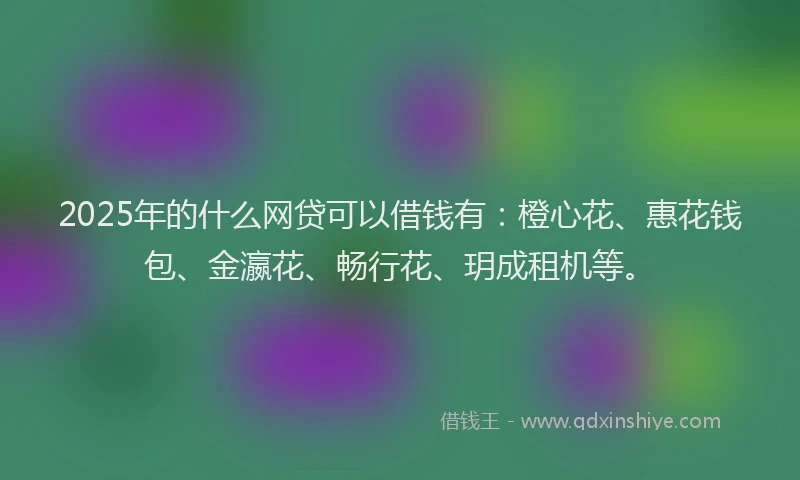 2025年的什么网贷可以借钱有：橙心花、惠花钱包、金瀛花、畅行花、玥成租机等。