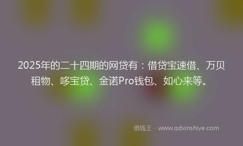 2025年的二十四期的网贷有：借贷宝速借、万贝租物、哆宝贷、金诺Pro钱包、如心来等。