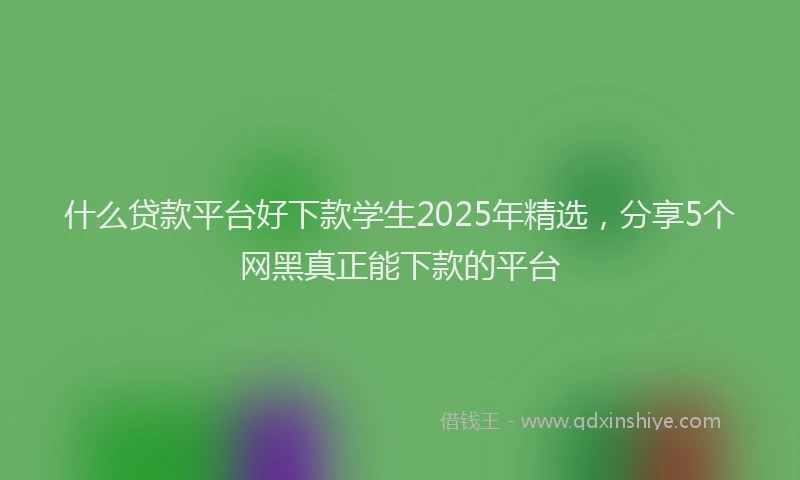 什么贷款平台好下款学生2025年精选，分享5个网黑真正能下款的平台