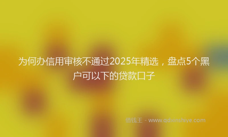 为何办信用审核不通过2025年精选，盘点5个黑户可以下的贷款口子