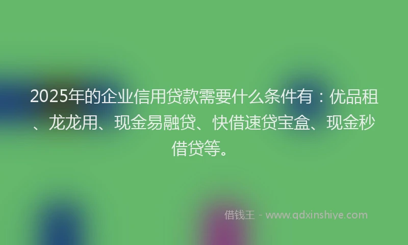 2025年的企业信用贷款需要什么条件有：优品租、龙龙用、现金易融贷、快借速贷宝盒、现金秒借贷等。
