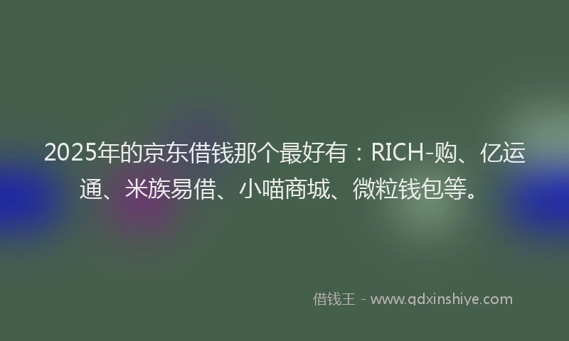 2025年的京东借钱那个最好有：RICH-购、亿运通、米族易借、小喵商城、微粒钱包等。