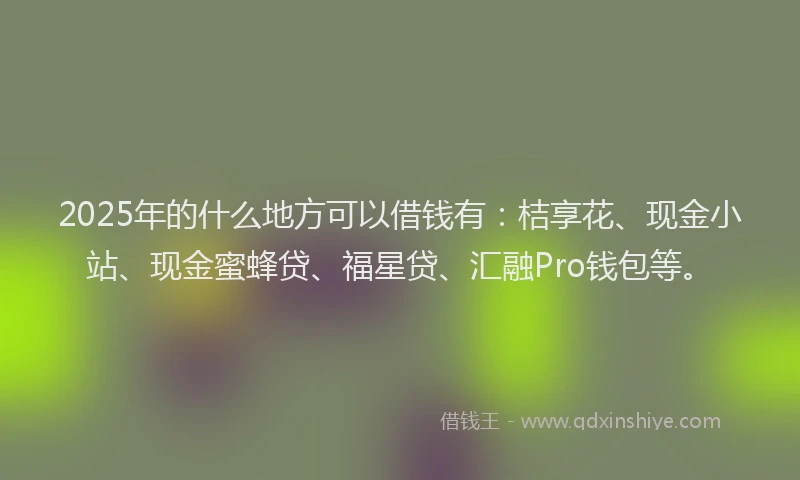 2025年的什么地方可以借钱有：桔享花、现金小站、现金蜜蜂贷、福星贷、汇融Pro钱包等。